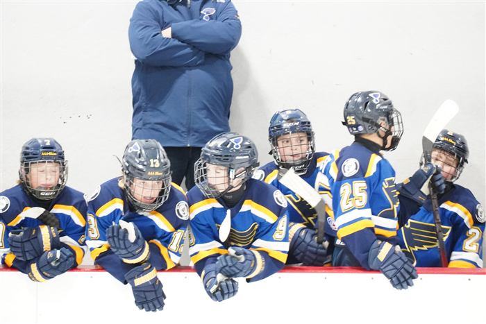2014 AAA St Louis Blues players on the bench