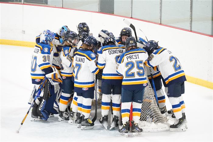 2014 AAA St Louis Blues team huddle
