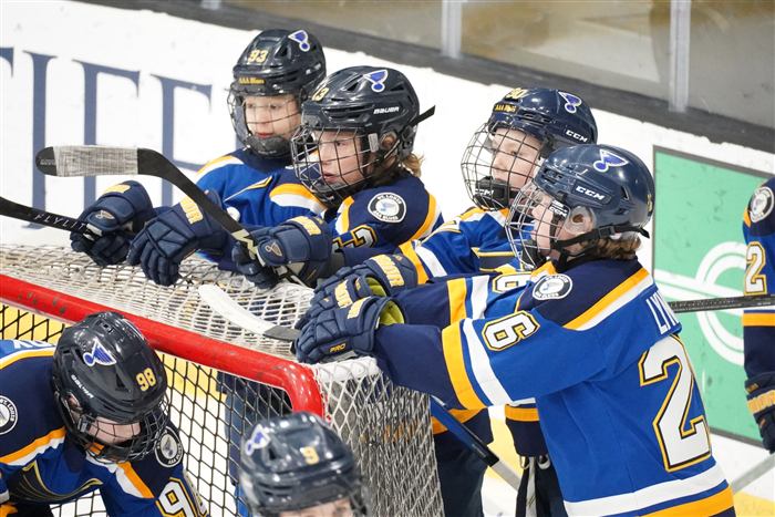 2014 AAA St Louis Blues players on the bench