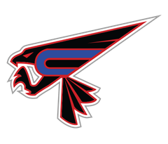 Chesterfield Falcons logo